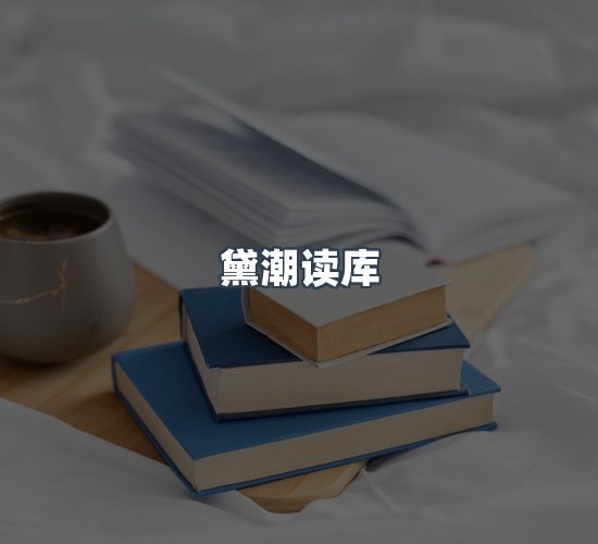 关于黛潮读库